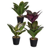 Kunstplant Rubber plant 26cm (per stuk)